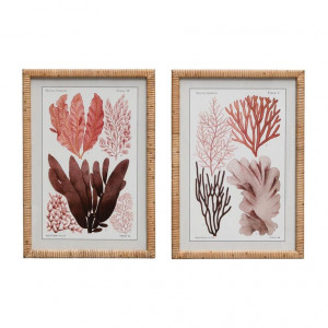 S/2 coral designs with rattan frames