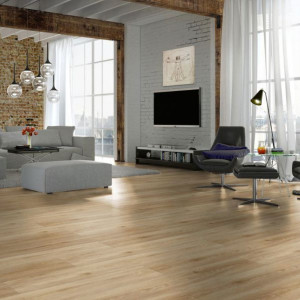 Exclusive Toldeo Oak D4901