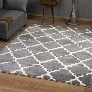 Darcy Grey 80x150cm Rug